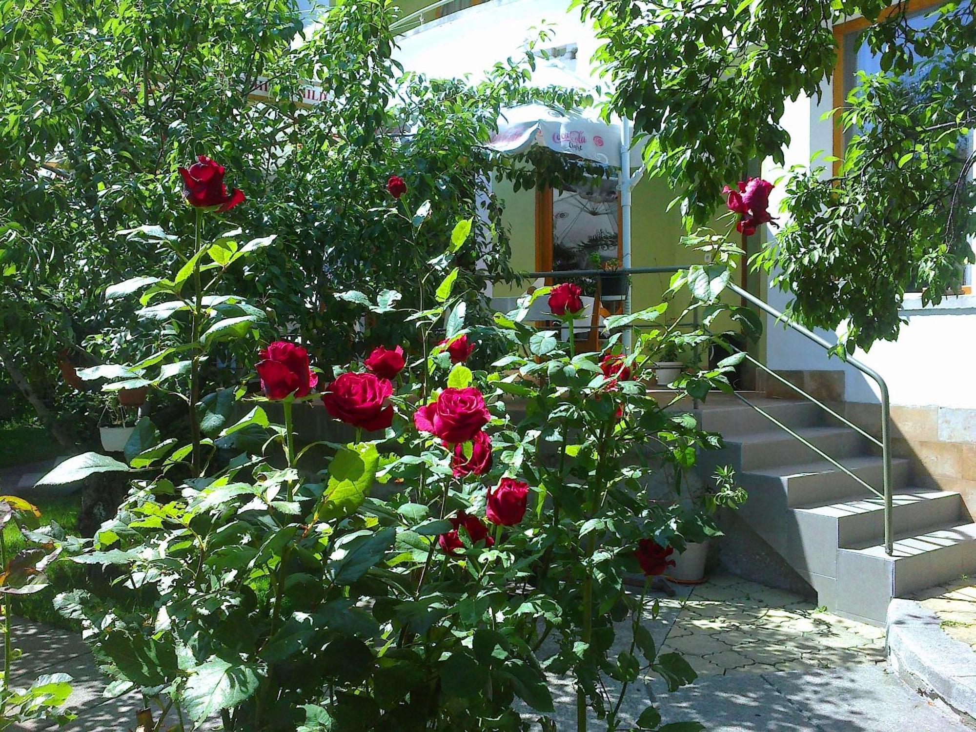 Family Hotel Sonata Samokov Eksteriør bilde
