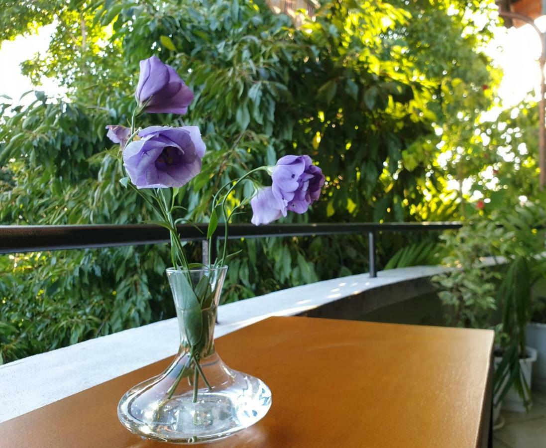 Family Hotel Sonata Samokov Eksteriør bilde